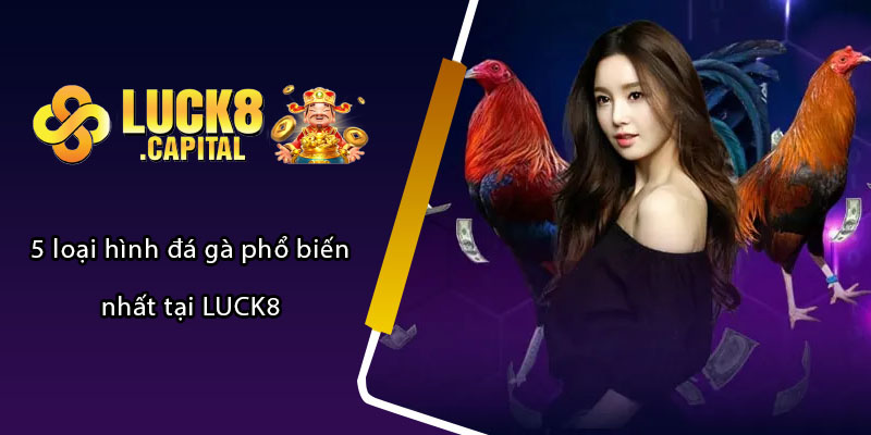 5 loại hình đá gà phổ biến nhất tại LUCK8