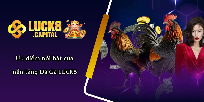 Ưu điểm nổi bật của nền tảng Đá Gà LUCK8